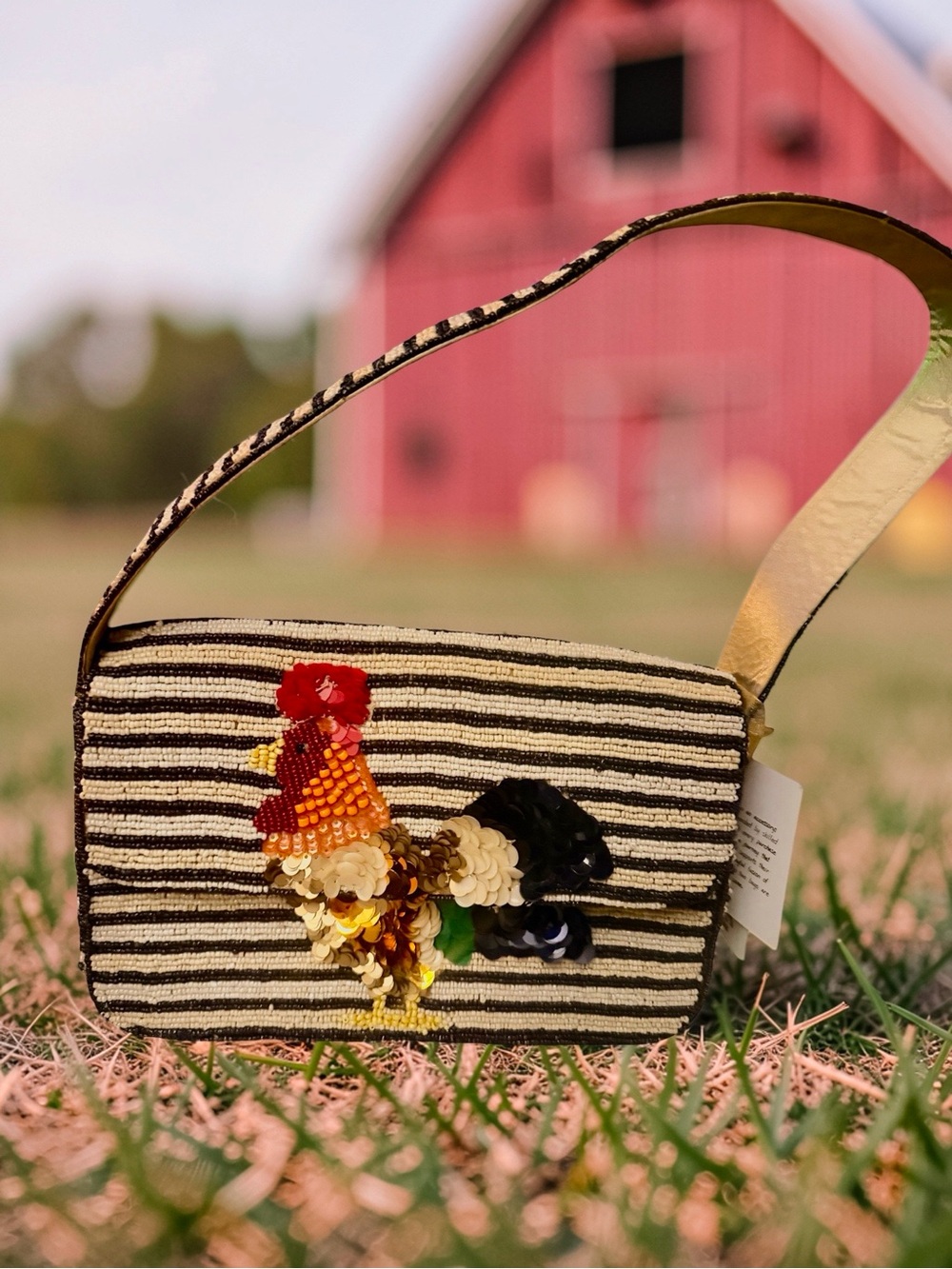 T.J.Maxx Black & Cream Striped Sequin Rooster Crossbody